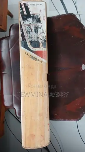 Leather Bat