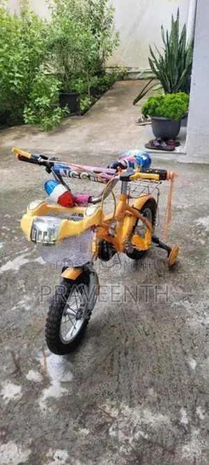 Kids Bicycle 16
