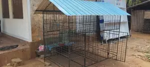 Dog Cage