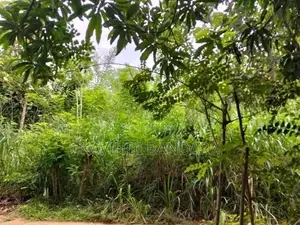 Land for Sale in Mahiyangana