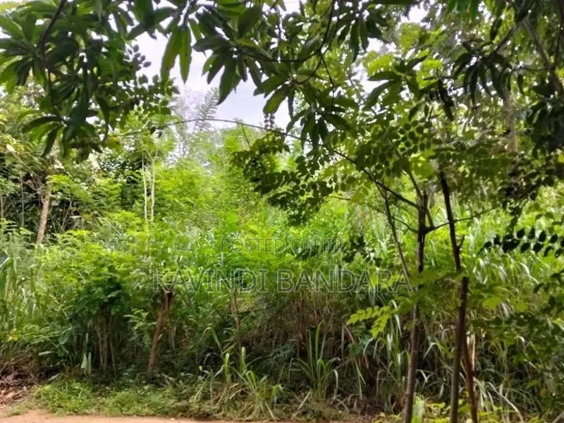 Land for Sale in Mahiyangana