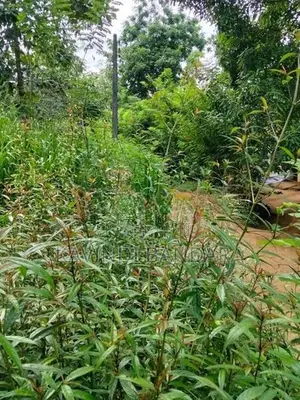 Land for Sale in Mahiyangana
