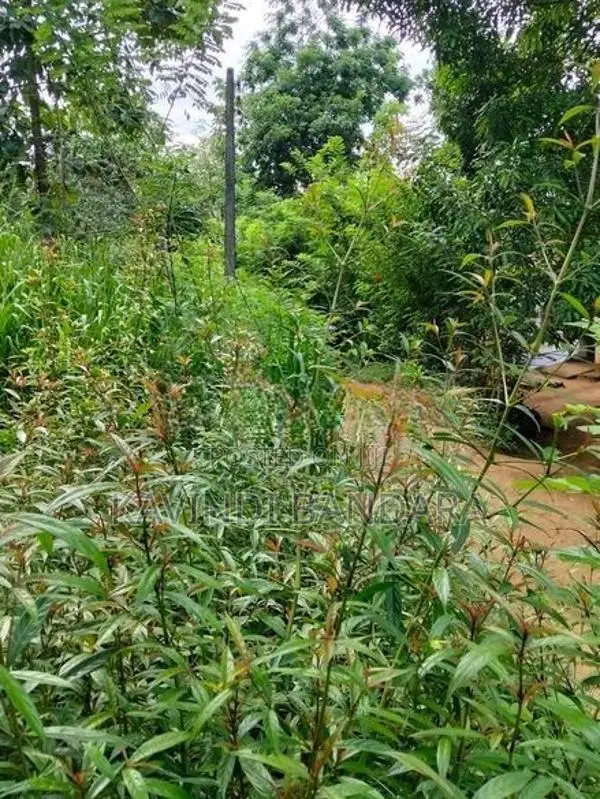 Land for Sale in Mahiyangana