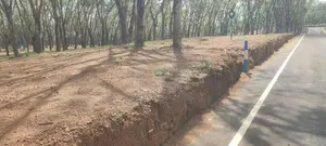 හෝමාගම තලගල පදිංචියට ඉඩමක්