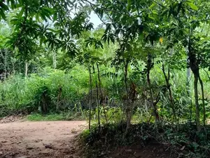 Land for Sale in Mahiyangana