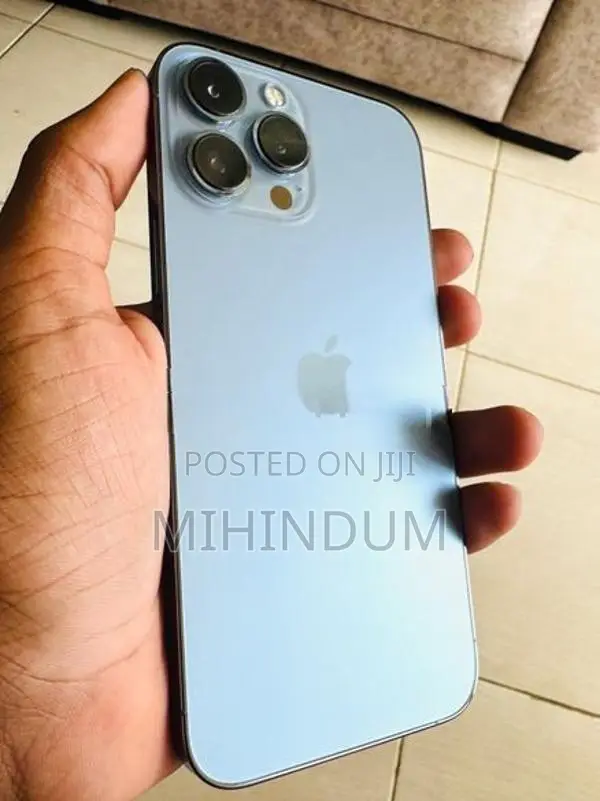 Apple iPhone 13 Pro Max (Used)