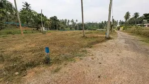 ගම්පහ මිරිස්වත්තෙන් වටිනා ඉඩමක් විකිණීමට