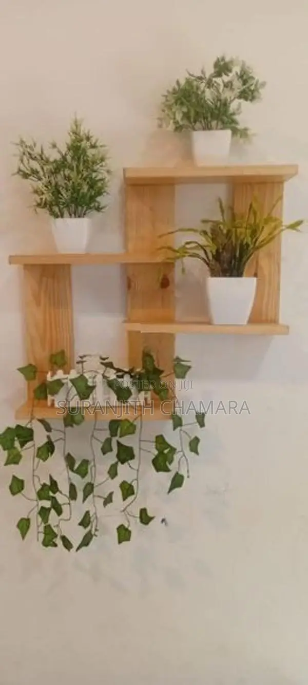 Wooden Floating Shelf with Flower Pots