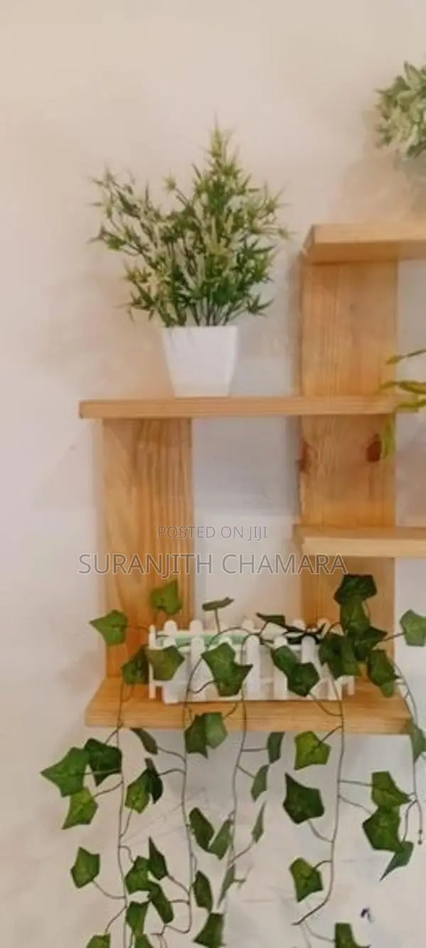 Wooden Floating Shelf with Flower Pots