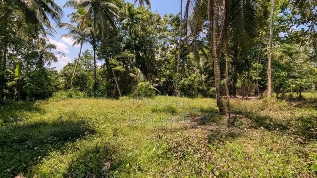 ගම්පහ නගරයට ආසන්නයෙන් සුපිරි ඉඩමක්