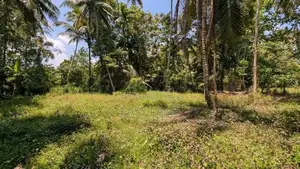 ගම්පහ නගරයට ආසන්නයෙන් සුපිරි ඉඩමක්