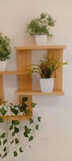 Wooden Floating Shelf with Flower Pots