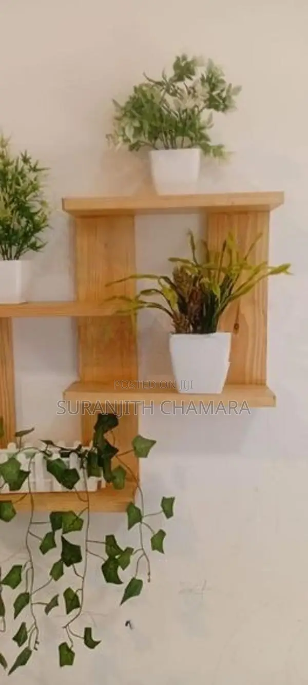 Wooden Floating Shelf with Flower Pots