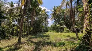 ගම්පහ නගරයට ආසන්නයෙන් සුපිරි ඉඩමක්