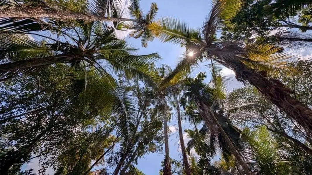 ගම්පහ නගරයට ආසන්නයෙන් සුපිරි ඉඩමක්