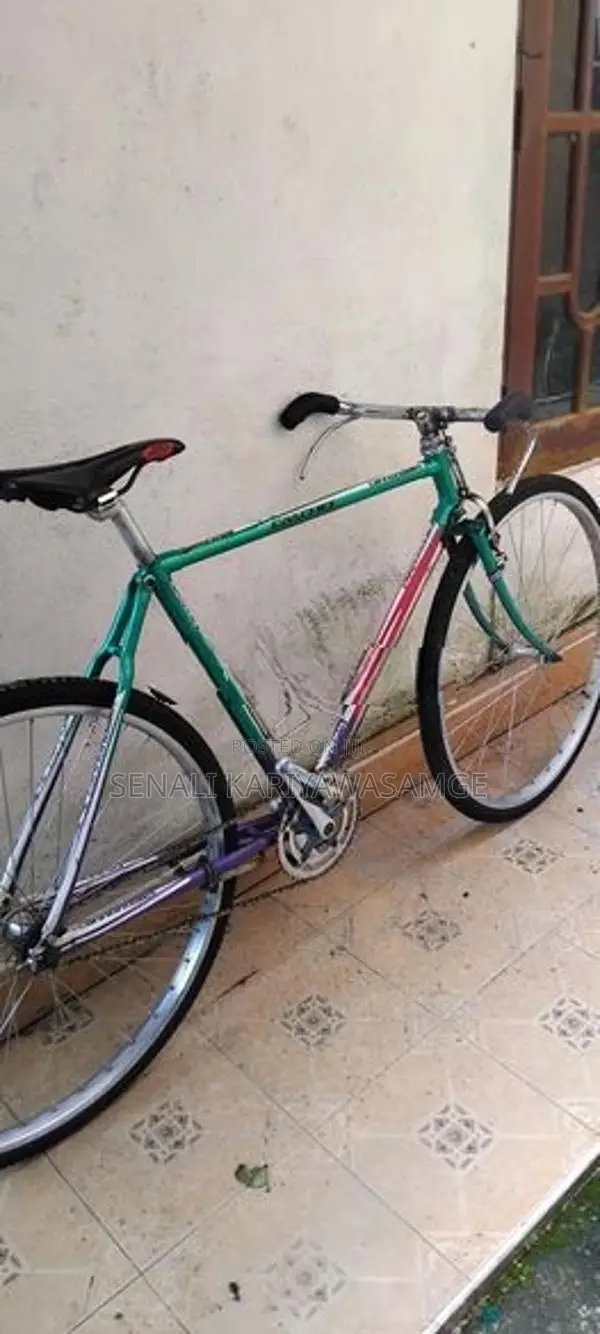 Bicycle