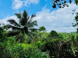 Urapola Land with House for Sale