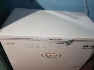 Singer Freezer