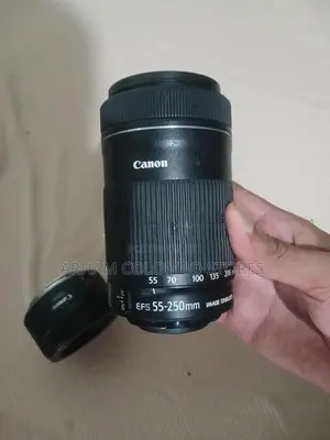 Canon 55-250mm Lens