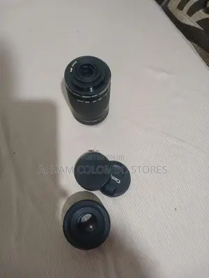 Canon 55-250mm Lens