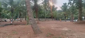 Kadawatha Best Land for Sale