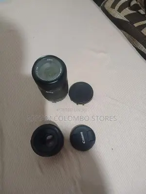 Canon 55-250mm Lens