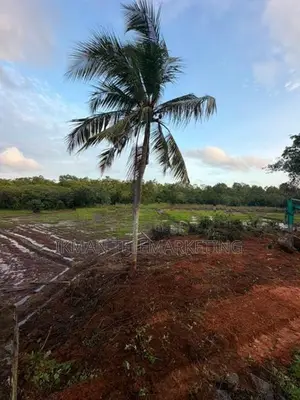 Valuable Land for Sale in Habaraduwa, Galle