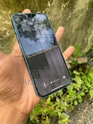 Apple iPhone 13 (Used)