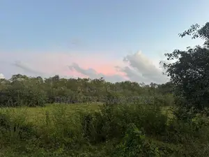 Valuable Land for Sale in Habaraduwa, Galle