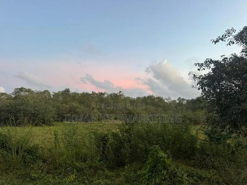 Valuable Land for Sale in Habaraduwa, Galle