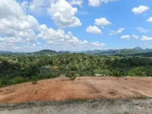 Land for Sale in Avissawella