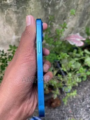 Apple iPhone 13 (Used)