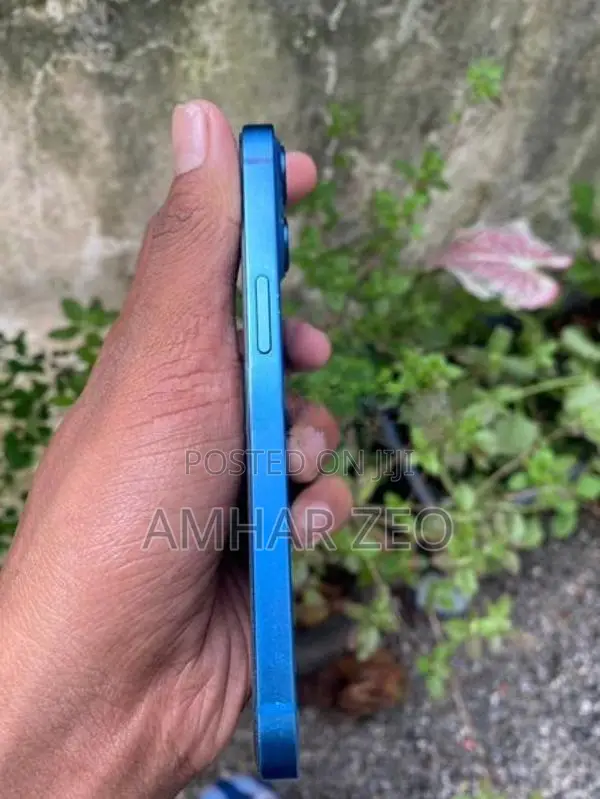 Apple iPhone 13 (Used)