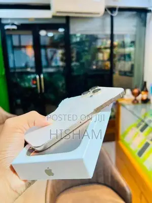 Apple iPhone 16 Pro Max 256GB (Used)
