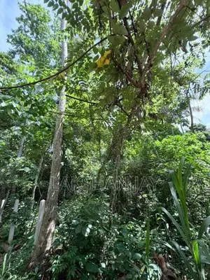 Hiriketiya Land for Sale