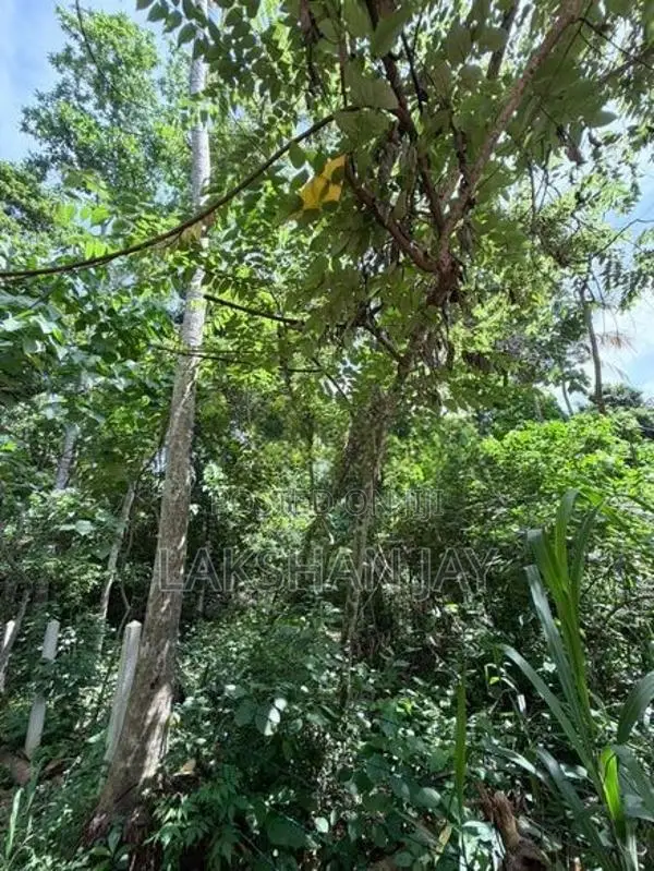 Hiriketiya Land for Sale