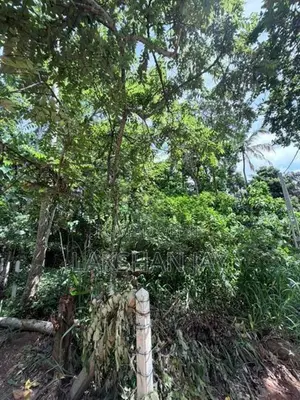 Hiriketiya Land for Sale