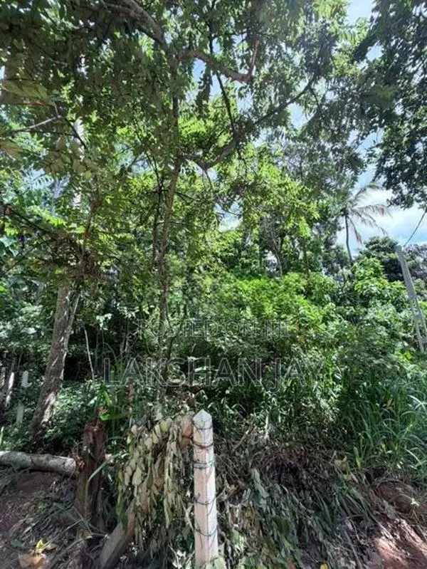 Hiriketiya Land for Sale