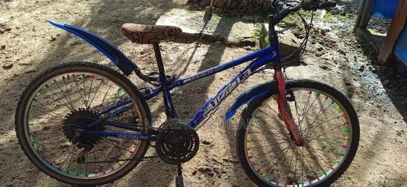 Lumala Bicycle