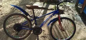 Lumala Bicycle