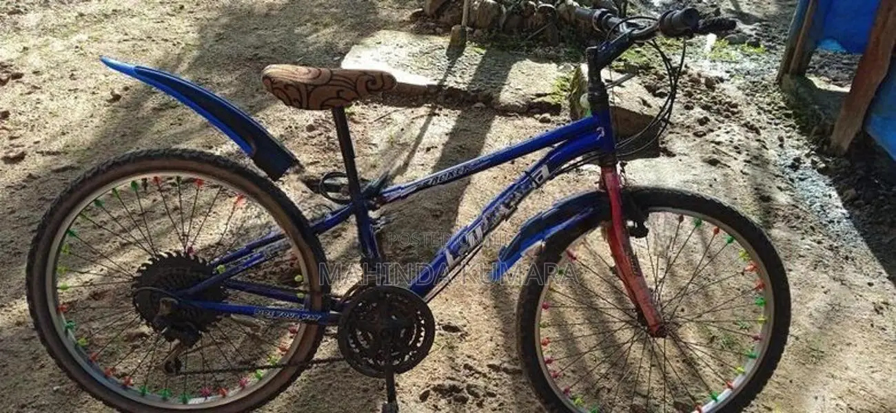 Lumala Bicycle