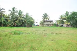 2.5 Acre Sea View Land for Sale in Mirissa, Matara