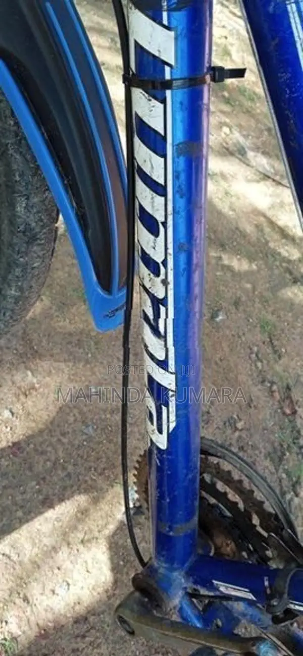 Lumala Bicycle