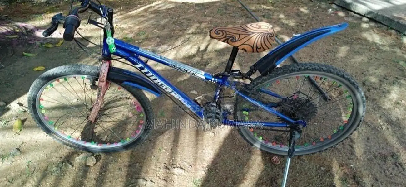 Lumala Bicycle