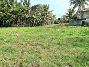 2.5 Acre Sea View Land for Sale in Mirissa, Matara