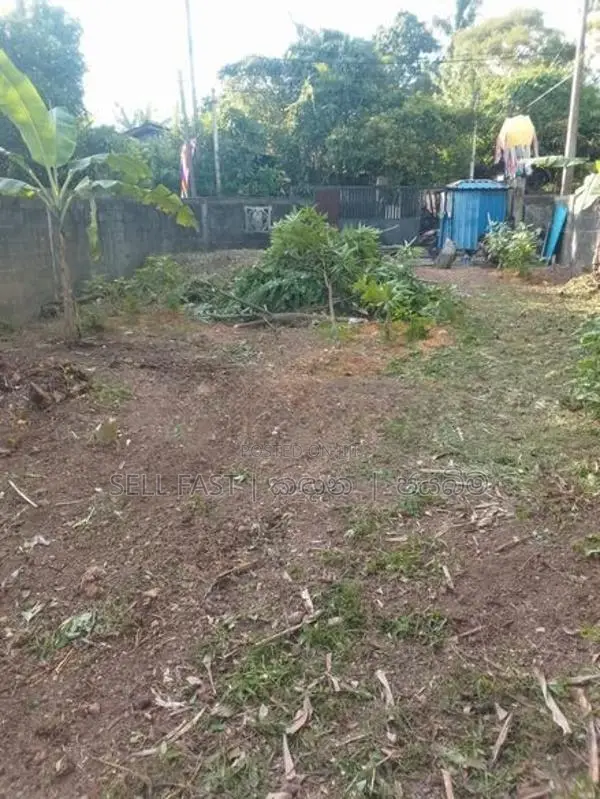 Land for sale jaela ,Ekala