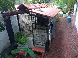 Dog Cage