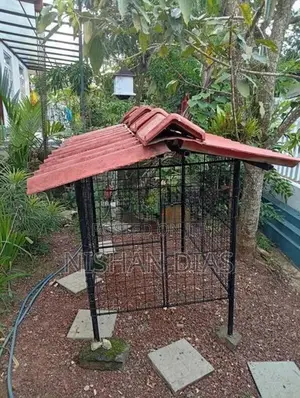 Dog Cage