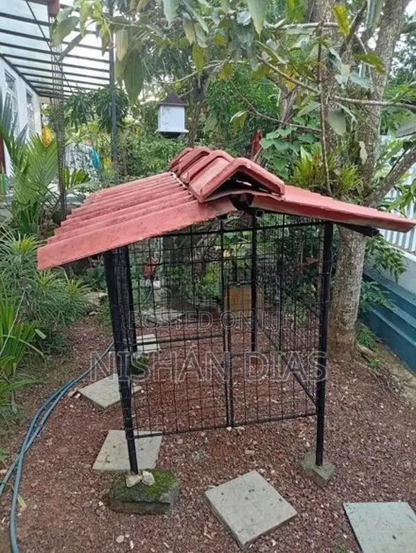 Dog Cage