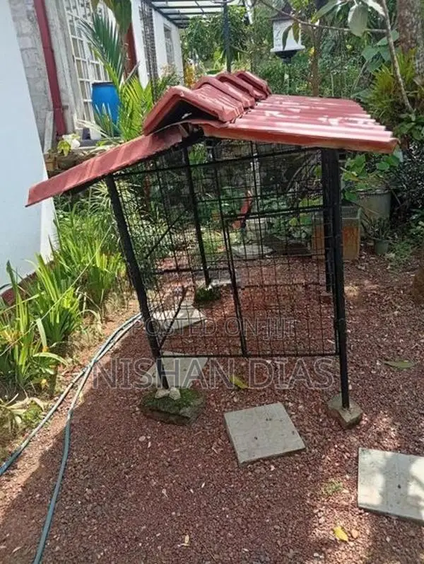 Dog Cage